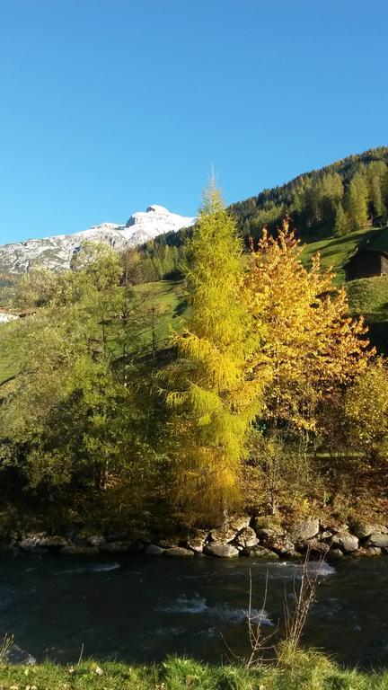 Apartament Haus Harbauer Neustift im Stubaital Zewnętrze zdjęcie