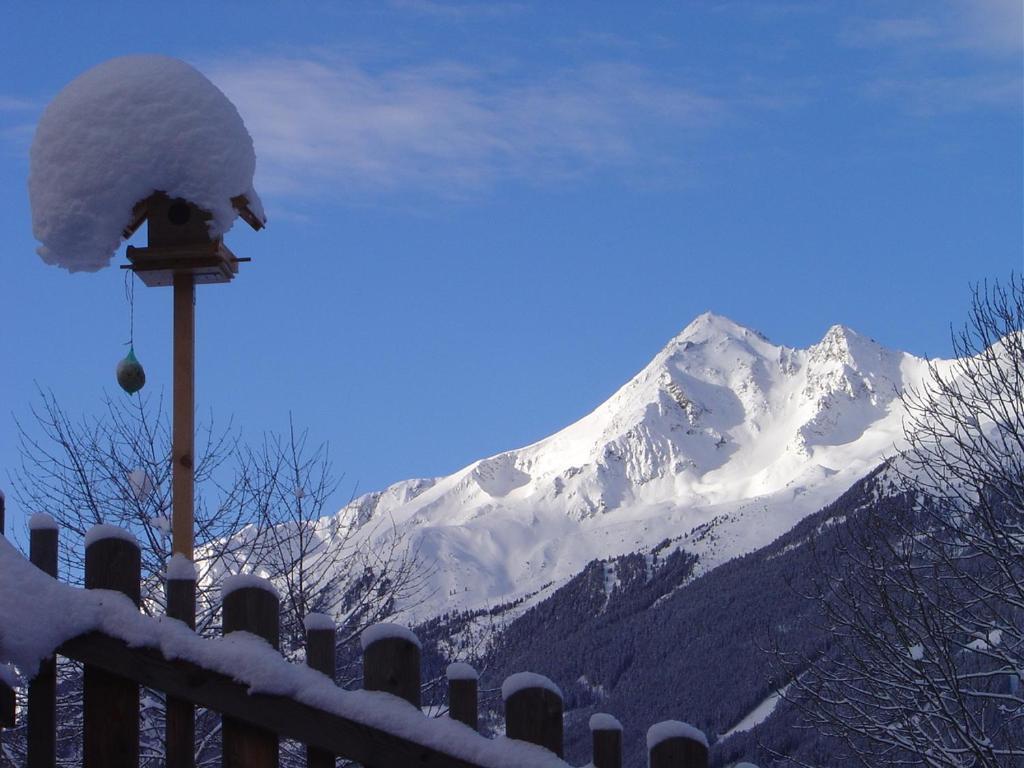 Apartament Haus Harbauer Neustift im Stubaital Zewnętrze zdjęcie